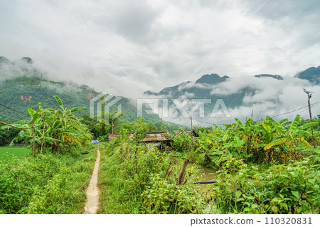 Landscape of Mai Chau 110320831