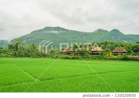 Landscape of Mai Chau Landscape of Mai Chau 110320850