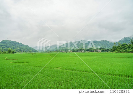 Landscape of Mai Chau 110320851