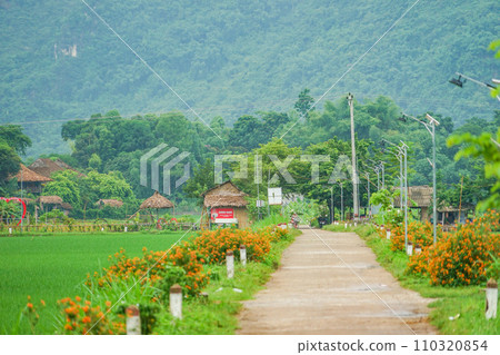 Landscape of Mai Chau 110320854