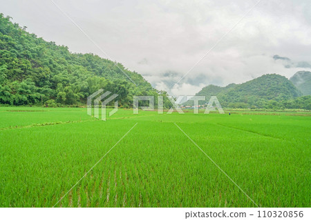 Landscape of Mai Chau 110320856
