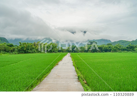 Landscape of Mai Chau 110320889