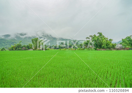 Landscape of Mai Chau 110320894