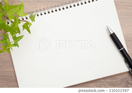 Notes and ballpoint pen 110322397