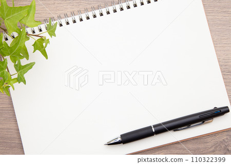 Notes and ballpoint pen Notes and ballpoint pen 110322399