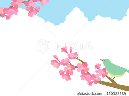 Simple background material of cherry blossoms and warblers 110322589