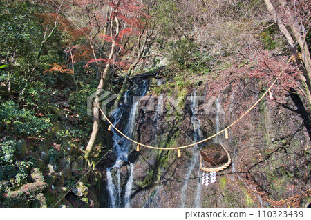 箱根玉簾瀑布 110323439