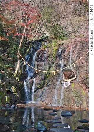 箱根玉簾瀑布 110323441