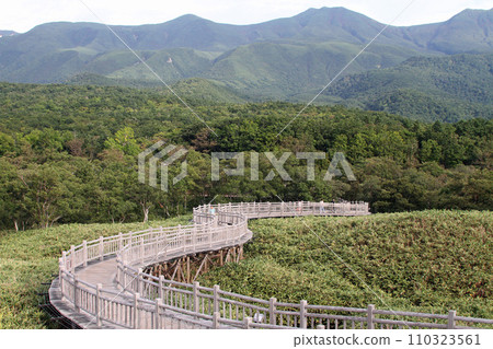 Shiretoko Five Lakes Elevated Boardwalk Shiretoko Mountains Primeval Forest Observation Deck Shiretoko Five Lakes Elevated Boardwalk Shiretoko Mountains Primeval Forest Observation Deck 110323561