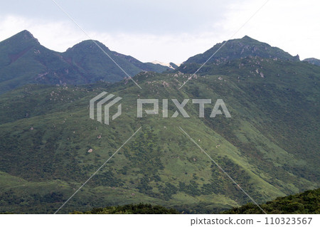 Shiretoko Five Lakes Elevated Boardwalk Shiretoko Mountains Primeval Forest Observation Deck Shiretoko Five Lakes Elevated Boardwalk Shiretoko Mountains Primeval Forest Observation Deck 110323567