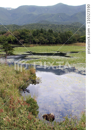 Shiretoko Five Lakes Elevated Boardwalk Shiretoko Mountains Primeval Forest Observation Deck 110323590