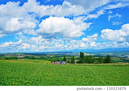北海道上富良野八景:從千坊峠將十勝岳連峰和富良野盆地盡收眼底 北海道上富良野八景:從千坊峠將十勝岳連峰和富良野盆地盡收眼底 110323879
