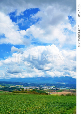北海道上富良野八景：從千坊峠將十勝岳連峰和富良野盆地盡收眼底 110323880
