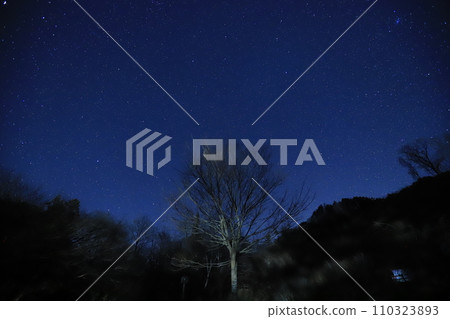 星空 星空 110323893