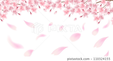 櫻花春天花瓣背景 櫻花春天花瓣背景 110324155