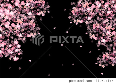 櫻花春天花瓣背景 110324157