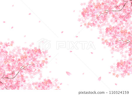 櫻花春天花瓣背景 櫻花春天花瓣背景 110324159