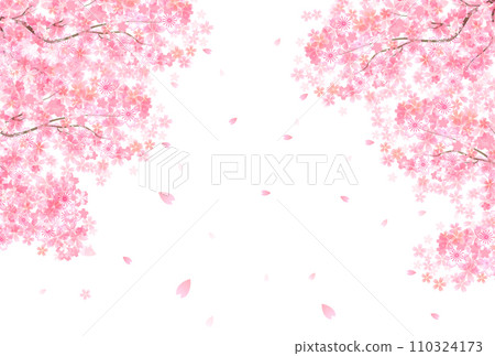 櫻花春天花瓣背景 110324173