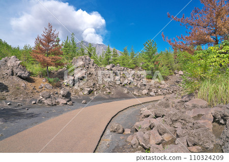 【有村熔岩展望台(散步道)】鹿兒島縣鹿兒島市有村町 【有村熔岩展望台(散步道)】鹿兒島縣鹿兒島市有村町 110324209