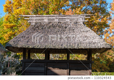 sunlight on thatched roof 110324543