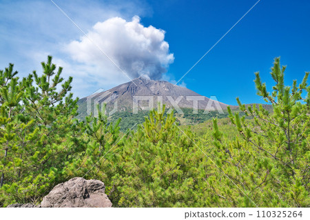 [櫻島從有村熔岩展望台冒出的煙霧]]鹿兒島縣鹿兒島市有村町 110325264