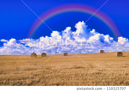 北海道東部秋季田野上空的彩虹 110325707