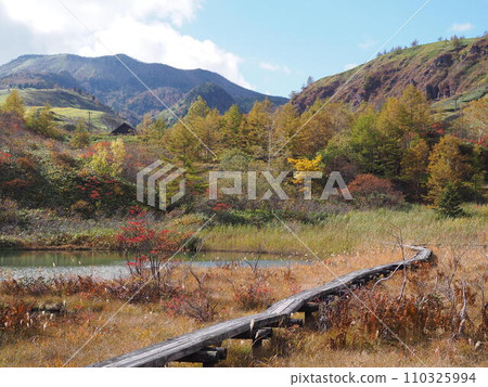 秋季脫甲池 秋季脫甲池 110325994