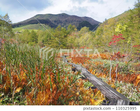 秋季脫甲池 110325995