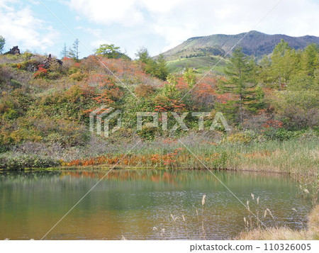 秋季脫甲池 秋季脫甲池 110326005