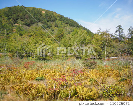 Autumn armor removal pond 110326071