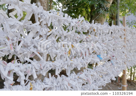 Fortune fortune (Sanage Shrine, Toyota City, Aichi Prefecture) 110326194