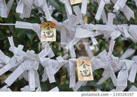 財運(愛知縣豐田市佐毛神社) 財運(愛知縣豐田市佐毛神社) 110326197