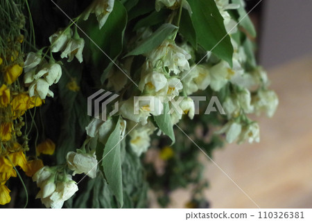 Scandinavian sauna hut Vihta Scandinavian sauna hut Vihta 110326381