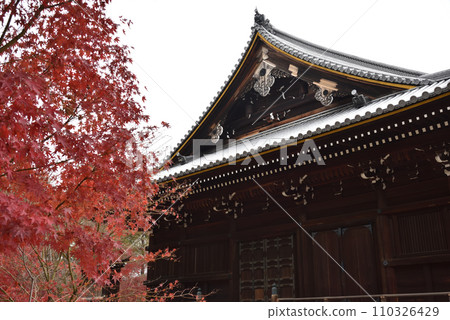 仁和寺觀音堂 秋天 仁和寺觀音堂 秋天 110326429