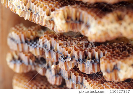 Close up of bee hive 110327537