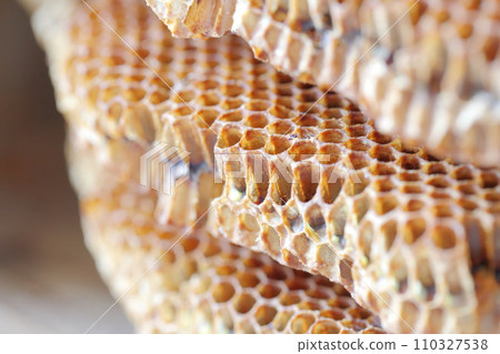 蜂巢的特寫 蜂巢的特寫 110327538