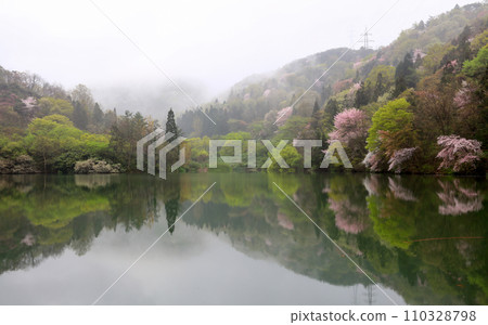 Spring at Seryang Reservoir in Hwasun Spring at Seryang Reservoir in Hwasun 110328798
