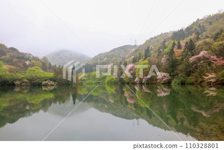 Spring at Seryang Reservoir in Hwasun 110328801