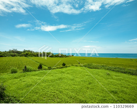 海邊田園風景 110329669