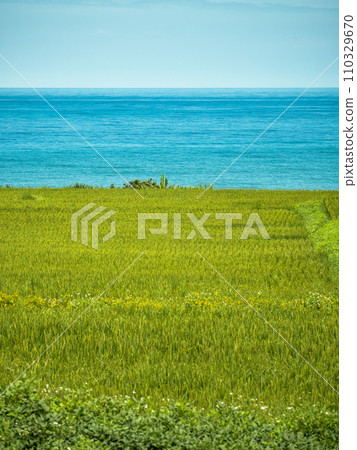 Seaside pastoral scenery Seaside pastoral scenery 110329670