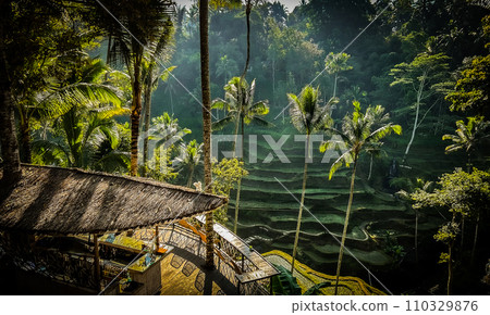 德格拉朗水稻梯田。印度尼西亞巴厘島的壯麗景色。 110329876