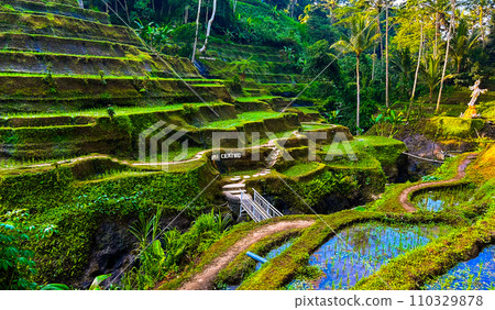 德格拉朗梯田的梯田風光 110329878