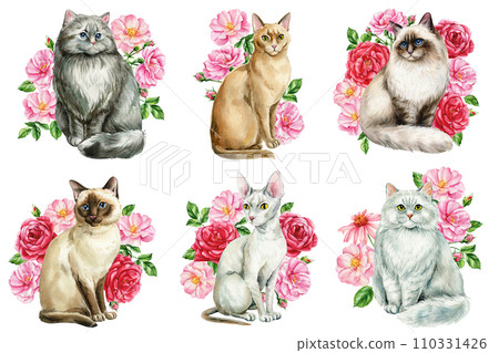 Beautiful cats set, branches with spring pink flowers of roses isolated white background. Watercolor Hand-drawn clipart Beautiful cats set, branches with spring pink flowers of roses isolated white background. Watercolor Hand-drawn clipart 110331426
