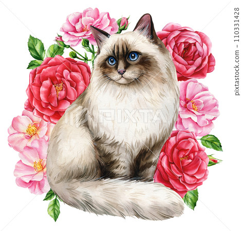 Beautiful cat and branches with red, pink flowers roses, isolated white background. Watercolor Hand-drawn illustration Beautiful cat and branches with red, pink flowers roses, isolated white background. Watercolor Hand-drawn illustration 110331428
