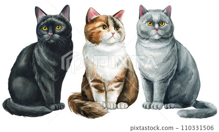 Cats hand drawing on an isolated white background. Animal watercolor illustration. Cute pet hand drawn, funny cat Cats hand drawing on an isolated white background. Animal watercolor illustration. Cute pet hand drawn, funny cat 110331506