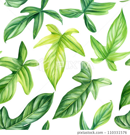Green leaves pattern watercolor, tropical seamless pattern for textile, decoration. Hand drawn painted exotic plants. Green leaves pattern watercolor, tropical seamless pattern for textile, decoration. Hand drawn painted exotic plants. 110331576