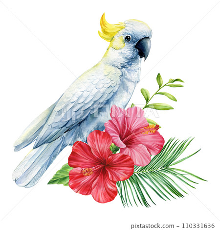 White cockatoo parrot. Tropical watercolor bird, flowers and leaves isolated on white background 110331636