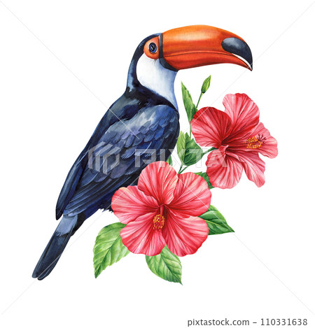 Tropical watercolor bird. Toucan, flowers and leaves. Exotic bird isolated on white background. Botanical illustration Tropical watercolor bird. Toucan, flowers and leaves. Exotic bird isolated on white background. Botanical illustration 110331638