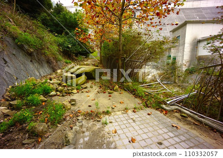牛內水壩下游步道發生山崩 牛內水壩下游步道發生山崩 110332057