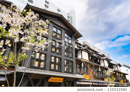 Odawara City, Kanagawa Prefecture, Spring scenery in front of Odawara Station (Minaka Odawara) 110332980